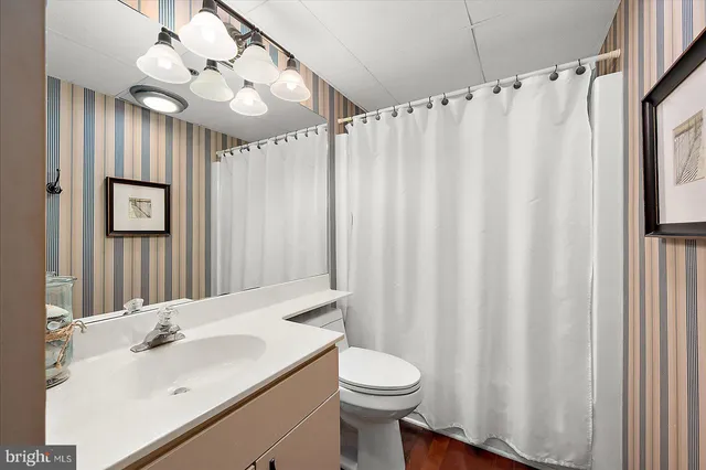 a bathroom with a sink a toilet and shower curtain