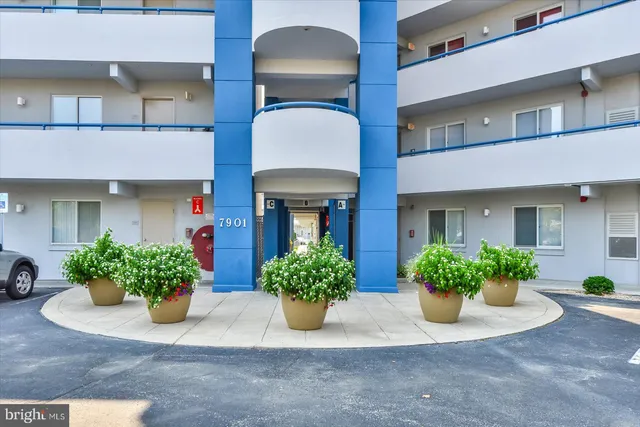 a front view of a house with lots of potted plants