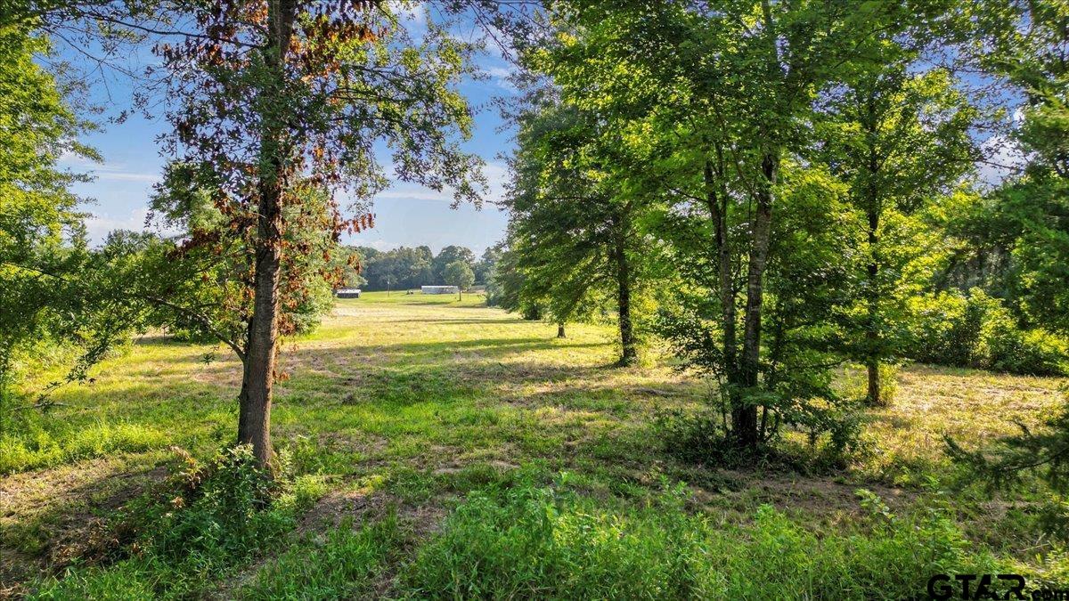 Tbd South Live Oak Road Gilmer, TX 75644 - Photo 12 of 18 a view of a yard with trees