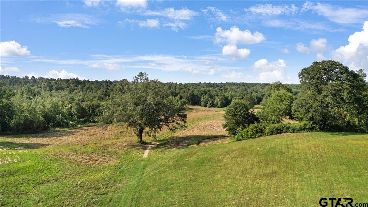 Tbd South Live Oak Road Gilmer, TX 75644 - Photo 14 of 18 a view of a lake with a yard