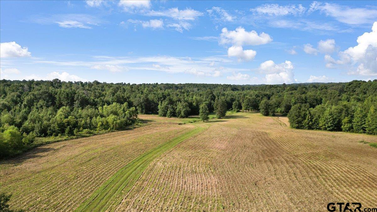 Tbd South Live Oak Road Gilmer, TX 75644 - Photo 15 of 18