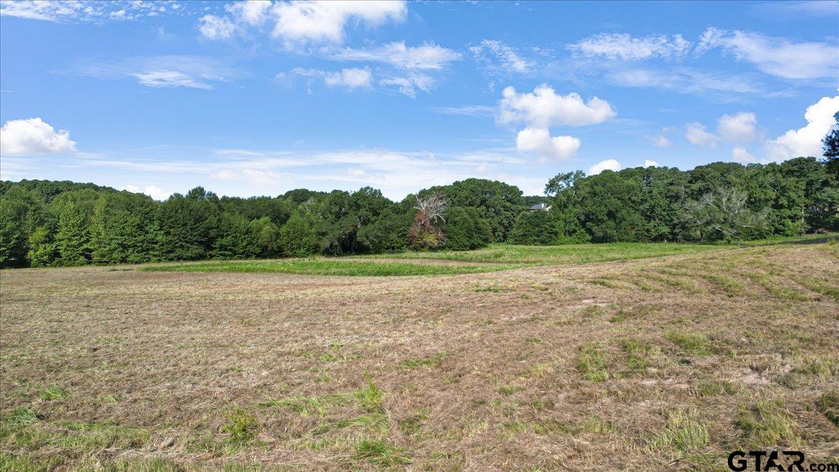 Tbd South Live Oak Road Gilmer, TX 75644 - Photo 7 of 18 a view of an outdoor space and a yard