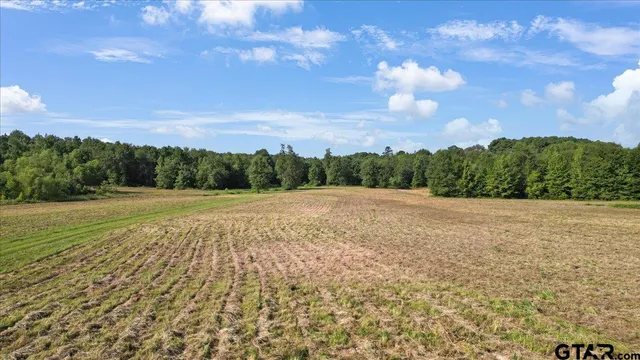 $319,900 | Tbd South Live Oak Road, Gilmer, TX 75644