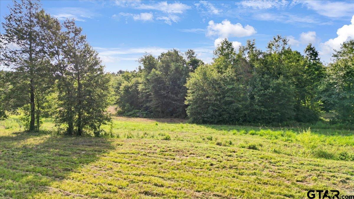 Tbd South Live Oak Road Gilmer, TX 75644 - Photo 10 of 18 a view of a yard with large trees