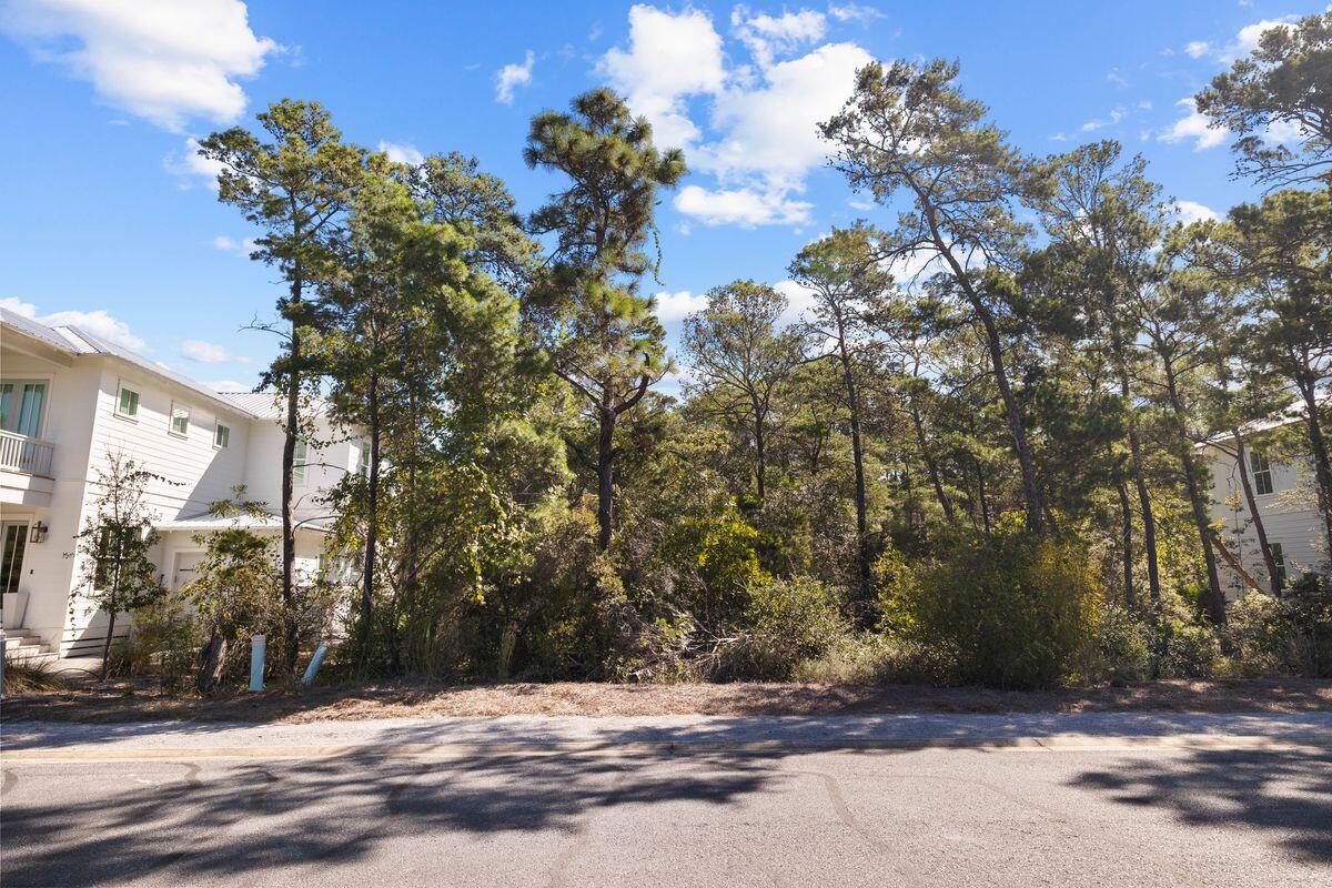 Lot 4 Matt's Way Santa Rosa Beach, FL 32459 - Photo 6 of 17 a view of a house with a tree