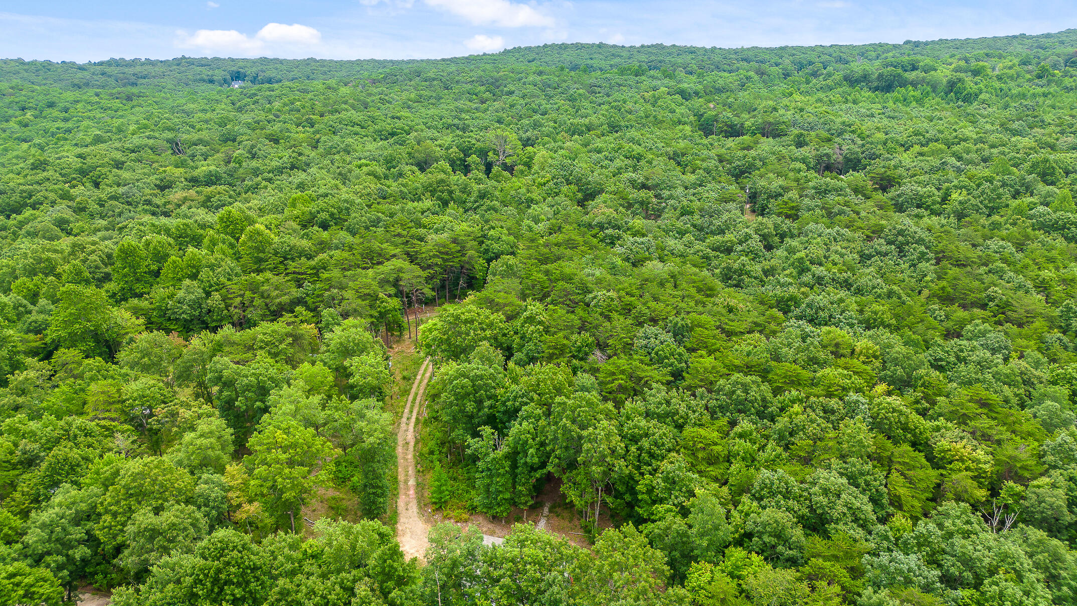478 Kenneth Massey Drive Rising Fawn, GA 30738 - Photo 54 of 60 Beautiful views