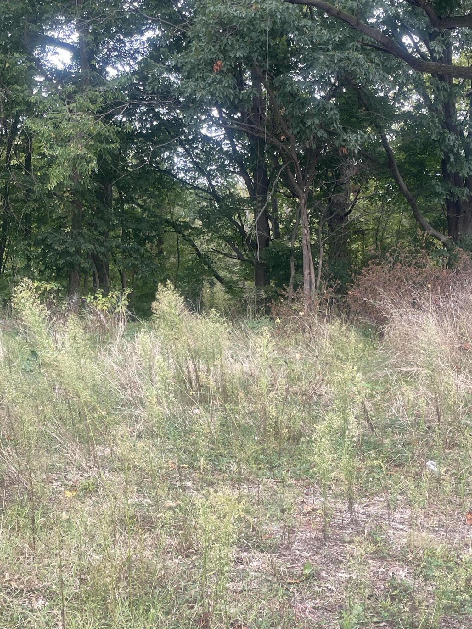 800 North Benton Center Road Benton Harbor, MI 49022 - Photo 12 of 15 IMG_3185