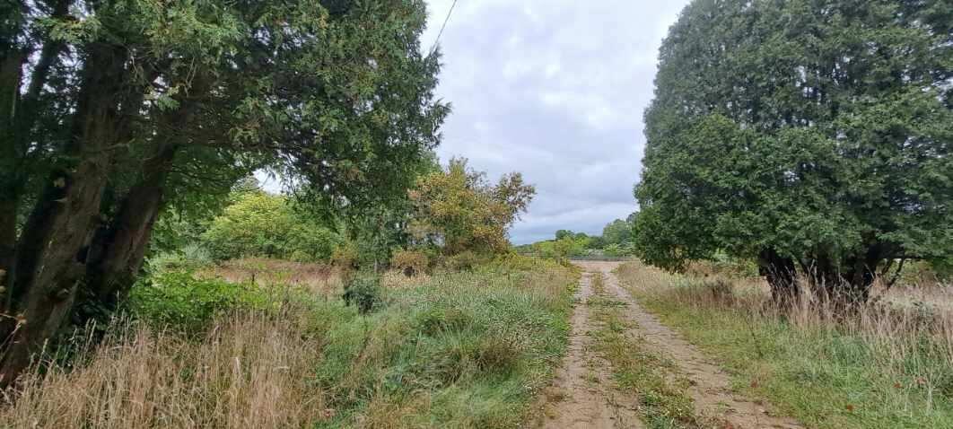 800 North Benton Center Road Benton Harbor, MI 49022 - Photo 3 of 15 Resized_20240923_170300