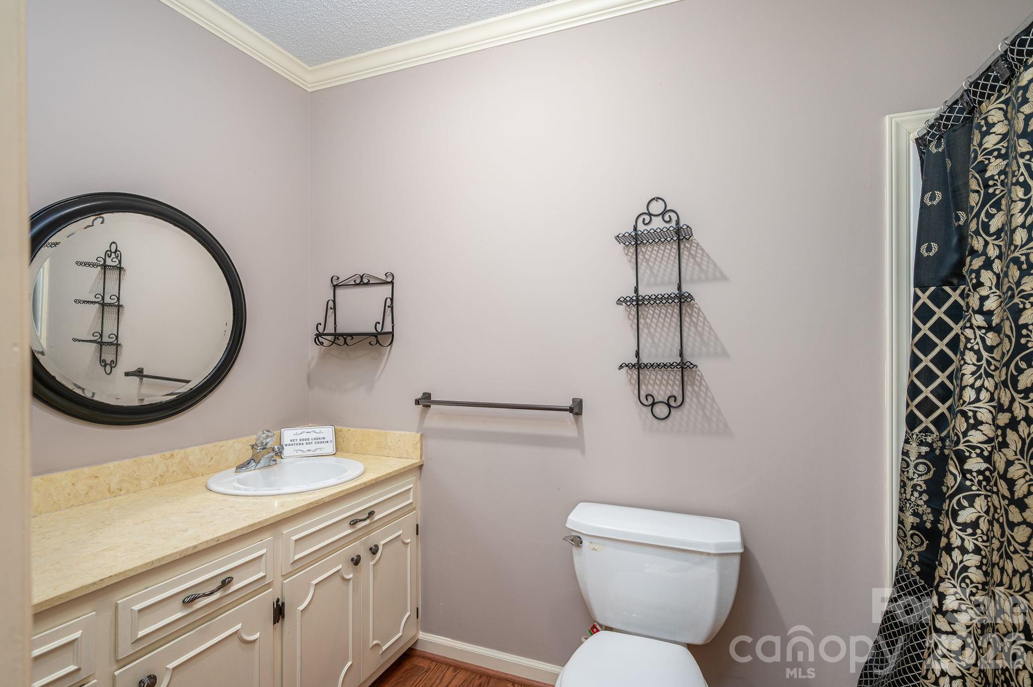 221 Lee Black Road Cherryville, NC 28021 - Photo 28 of 48 a bathroom with a toilet a sink and a mirror