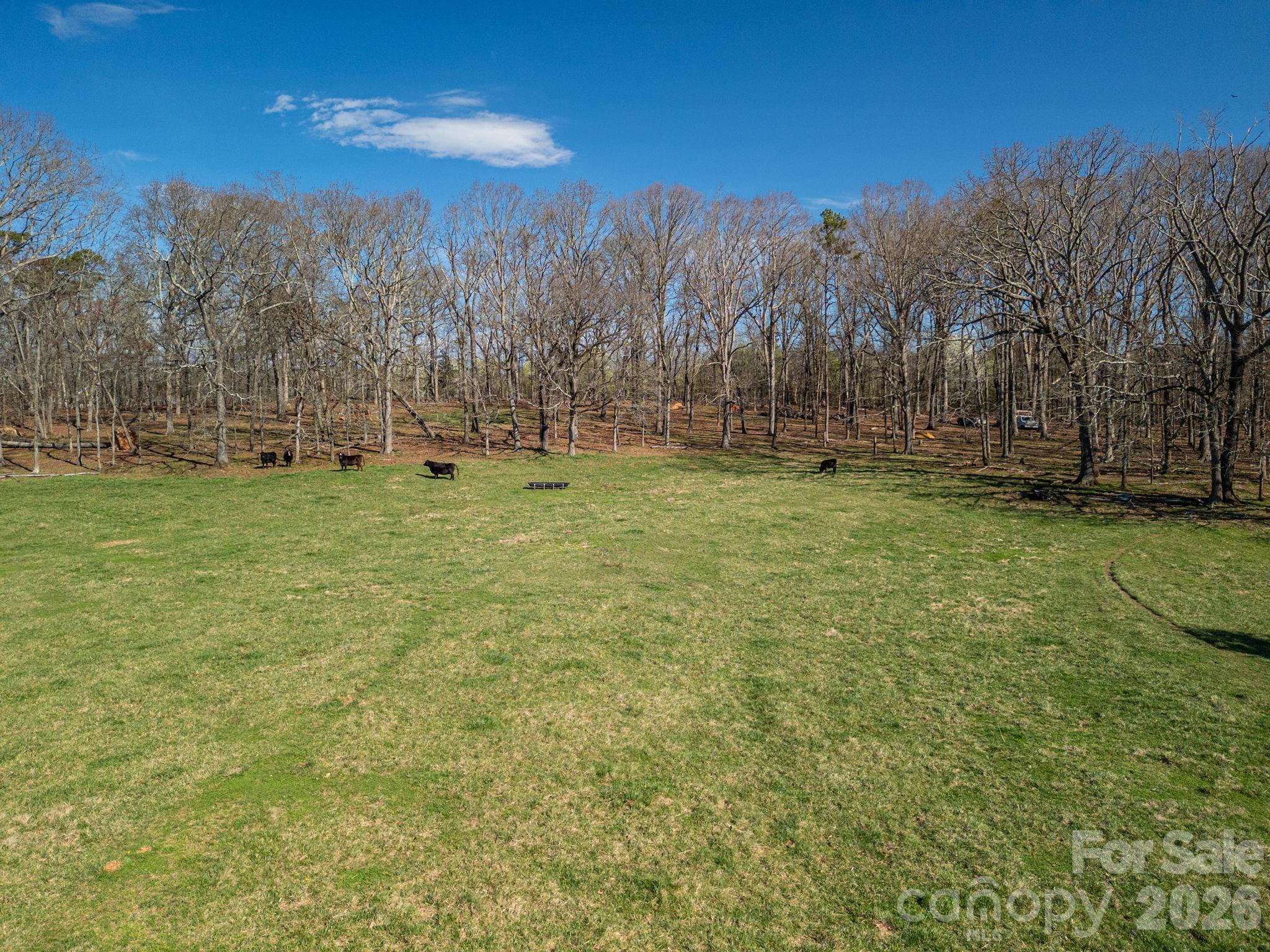 221 Lee Black Road Cherryville, NC 28021 - Photo 38 of 48