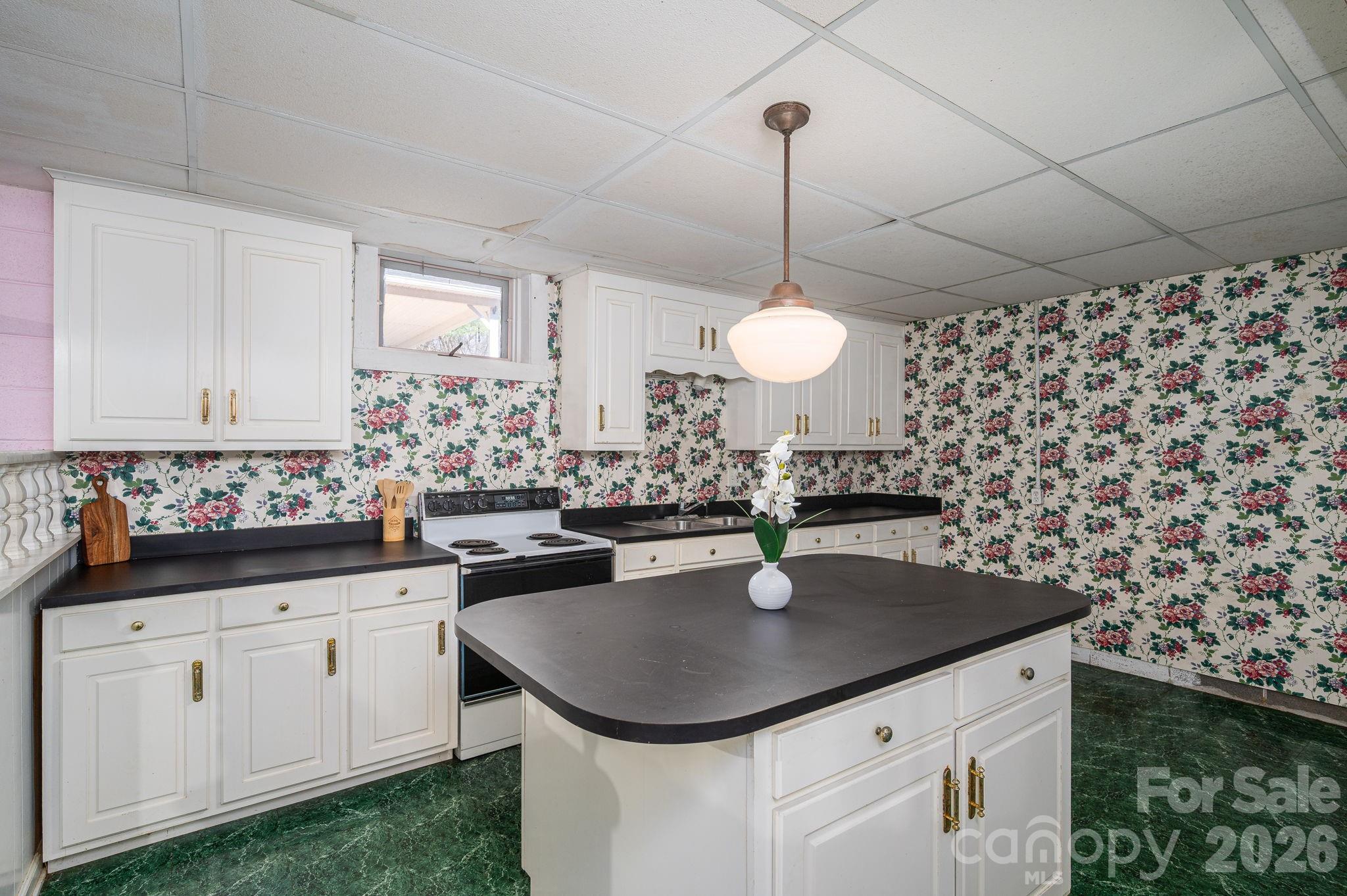221 Lee Black Road Cherryville, NC 28021 - Photo 43 of 48 a kitchen with a sink a counter space and cabinets