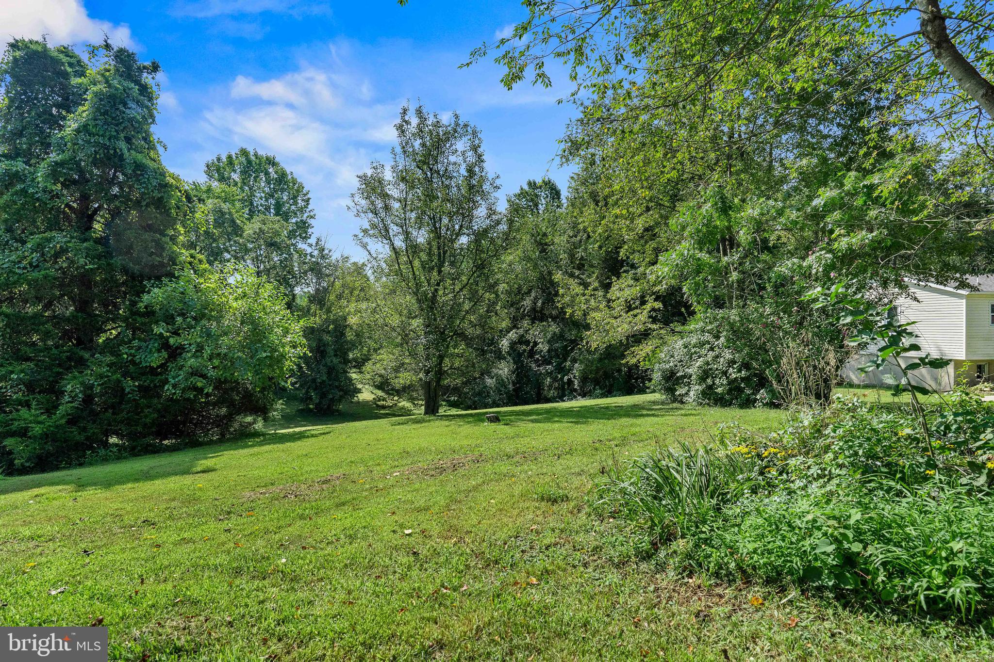 106 Murray Road Elkton, MD 21921 - Photo 21 of 25 Views of side yard
