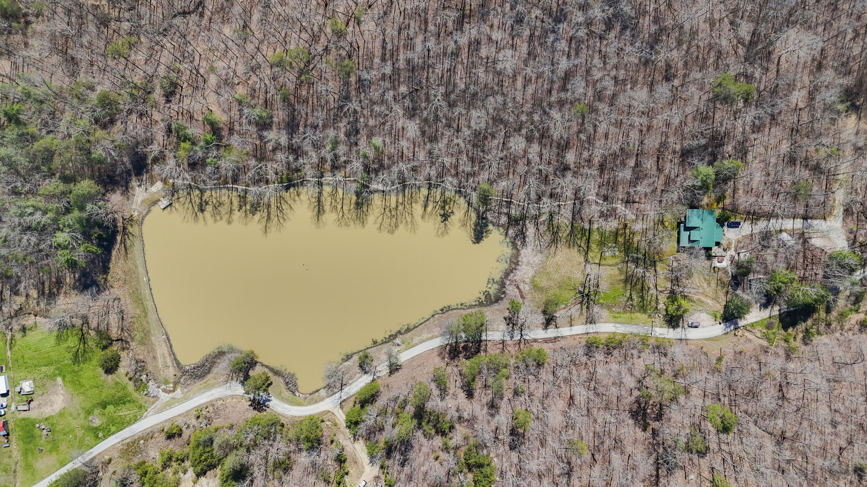 155 Chaneyville Road Stanton, KY 40380 - Photo 40 of 46 DJI_20260324130118_0073_D