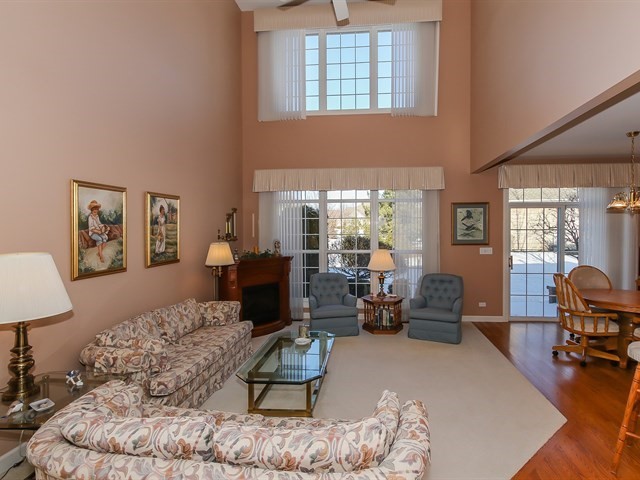 804 Stone Canyon Circle Inverness, IL 60010 - Photo 3 of 30 a living room with furniture rug and window