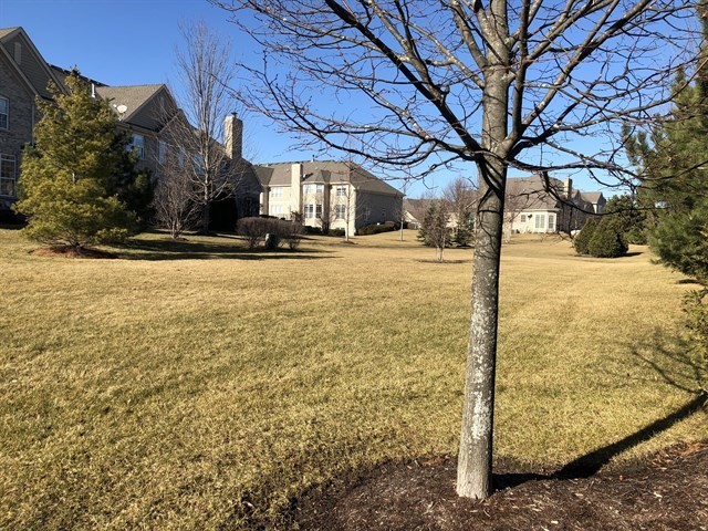 804 Stone Canyon Circle Inverness, IL 60010 - Photo 29 of 30 a view of a yard with snow on the road