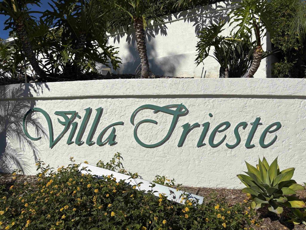 3365 Genoa Way, Unit 138 Oceanside, CA 92056 - Photo 2 of 34 a close up of a potted plant