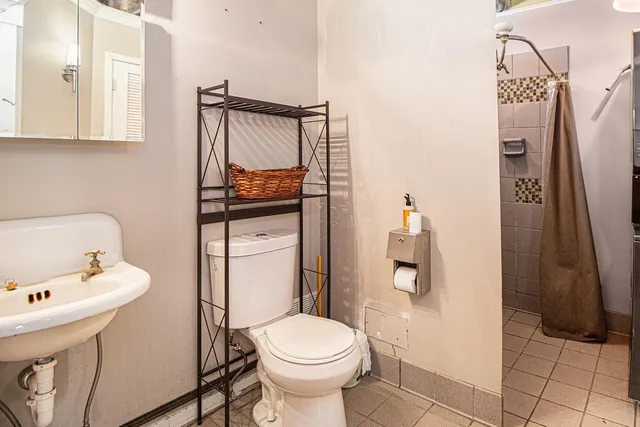 a view of a park with large trees