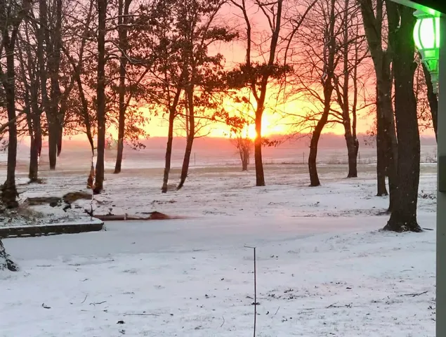 a view of a yard with an ocean view
