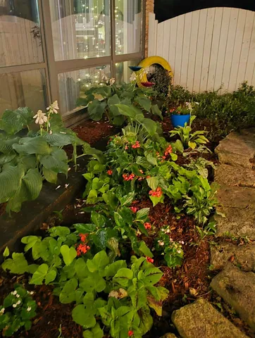 a view of a house with a yard covered in snow