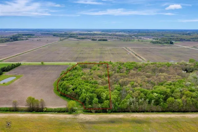 a view of a park with large trees