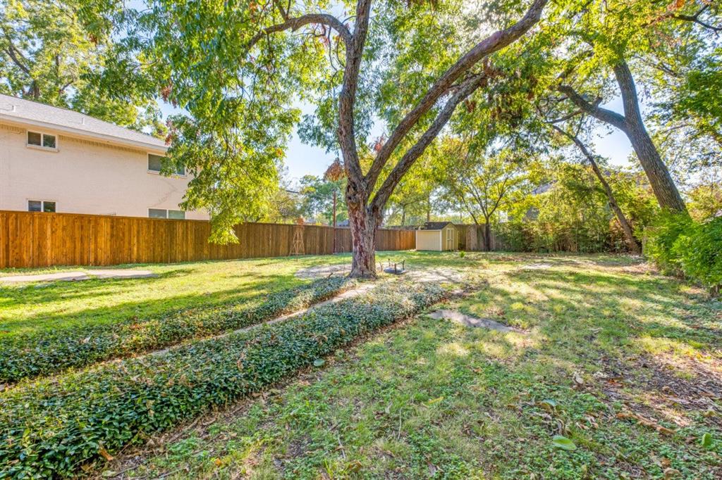 5102 Reiger Avenue Dallas, TX 75214 - Photo 18 of 18 a view of a yard with a large tree