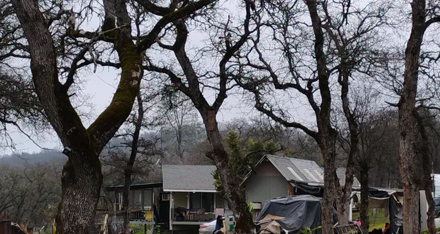 a view of outdoor space