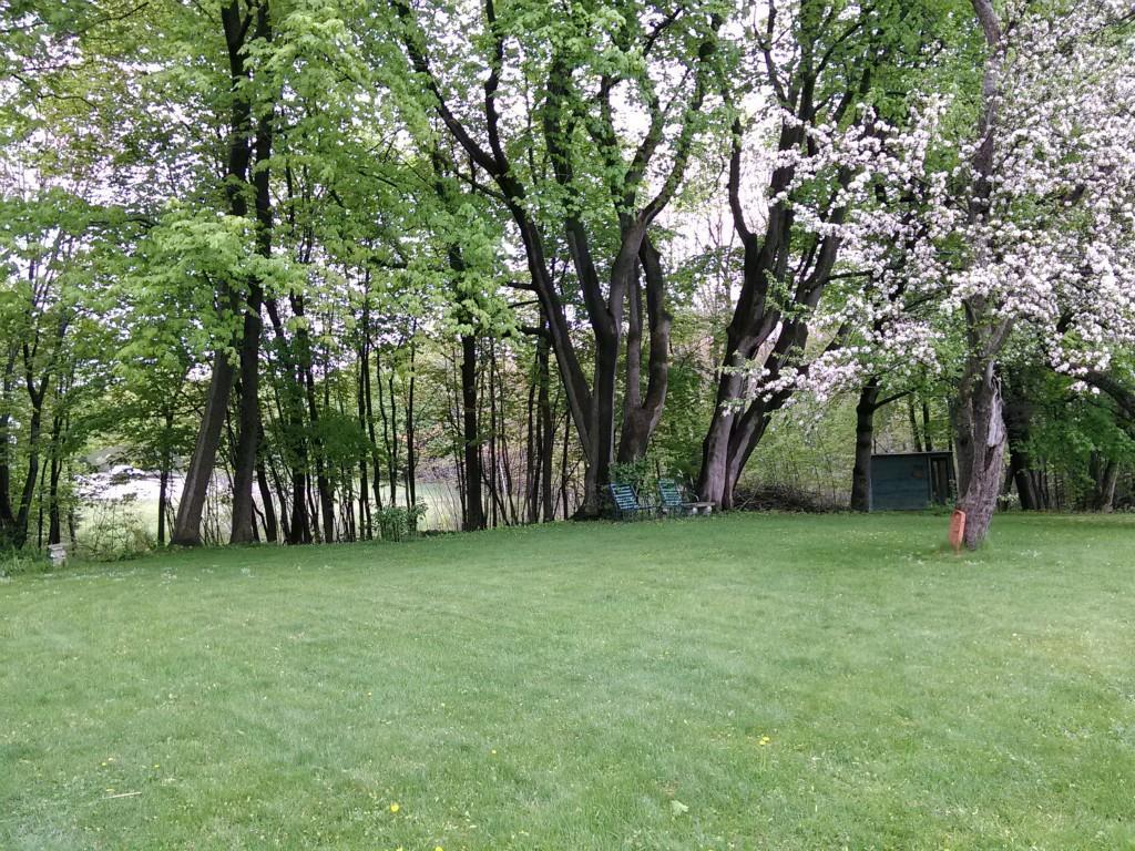 Spacious back yard with privacy and...