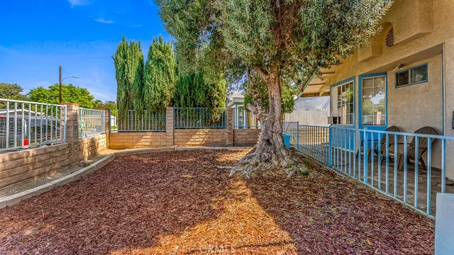 a view of a yard with plants and trees