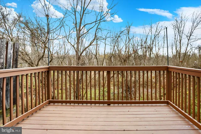 a view of a yard with plants and trees