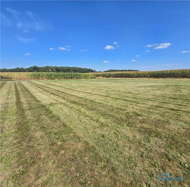 12538 County Road North Wauseon, OH 43567 - Photo 5 of 9 Photo 5