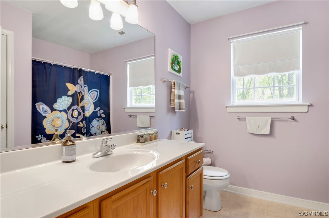 353 Nottoway Lane King William, VA 23086 - Photo 23 of 33 a bathroom with a sink a toilet and a mirror