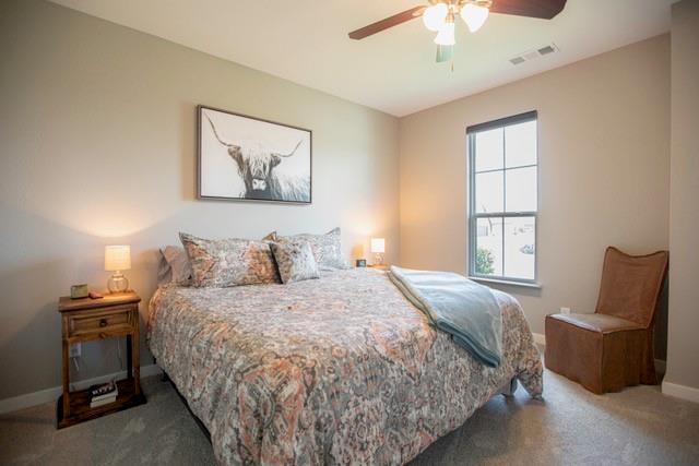 176 Lakeview Circle Pilot Point, TX 76258 - Photo 23 of 24
