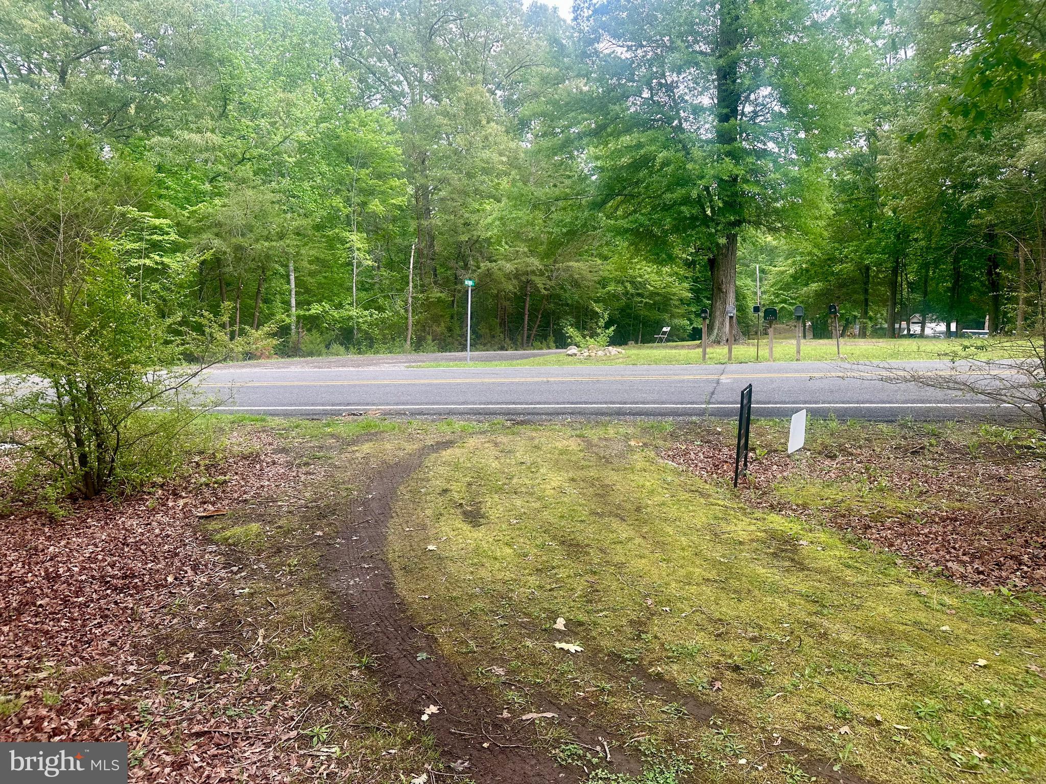 11495 A Maryland Point Road Nanjemoy, MD 20662 - Photo 11 of 12 a view of a yard with large trees