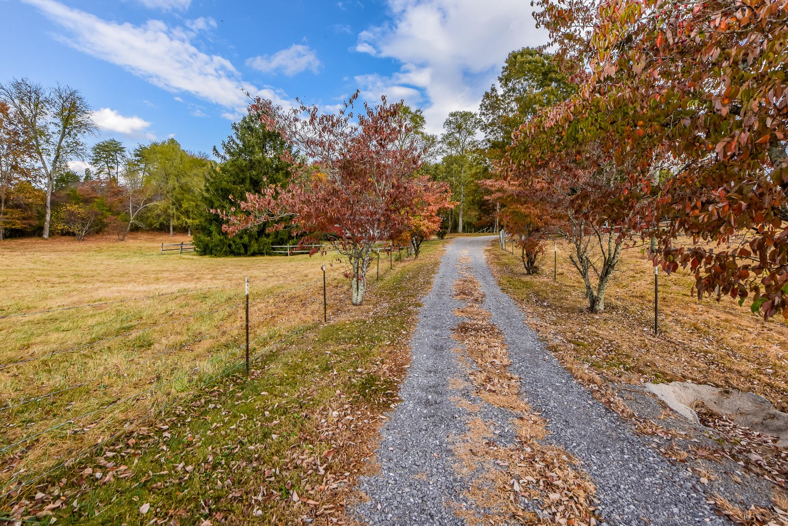 4113 Light Pink Road Louisville, TN 37777 - Photo 11 of 40 Gallery Image 11
