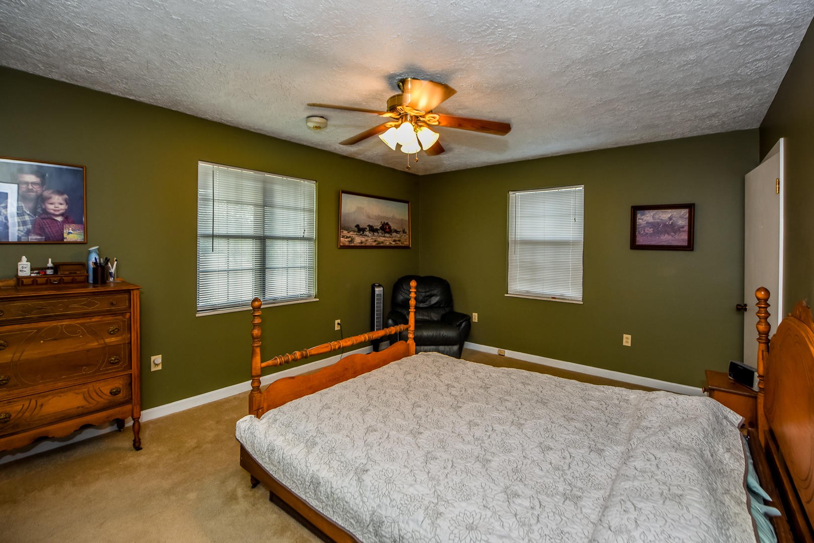 4113 Light Pink Road Louisville, TN 37777 - Photo 29 of 40 Gallery Image 29