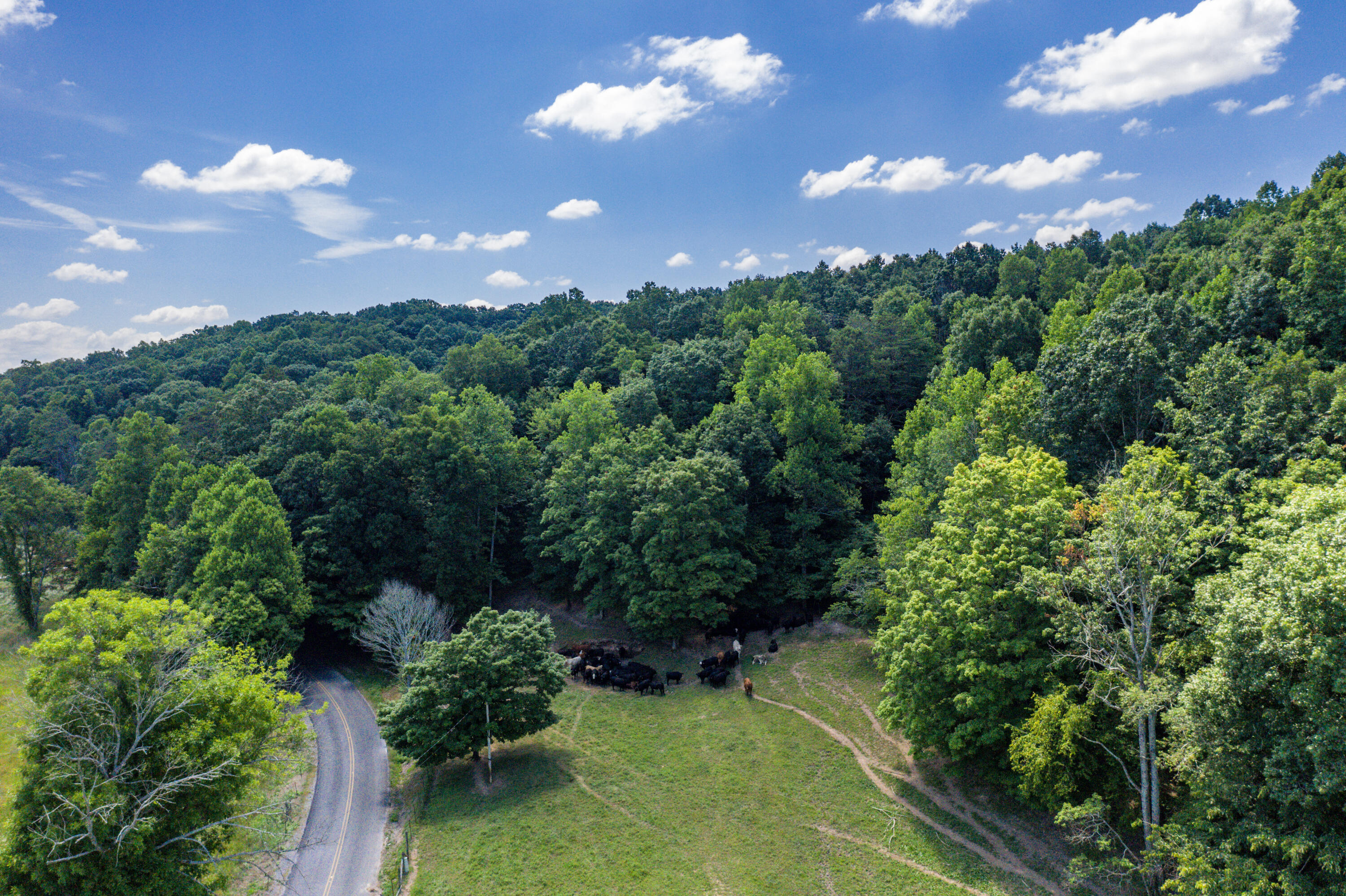 1636 White Oak Road Northwest Cleveland, TN 37312 - Photo 12 of 50 12-DJI_0126
