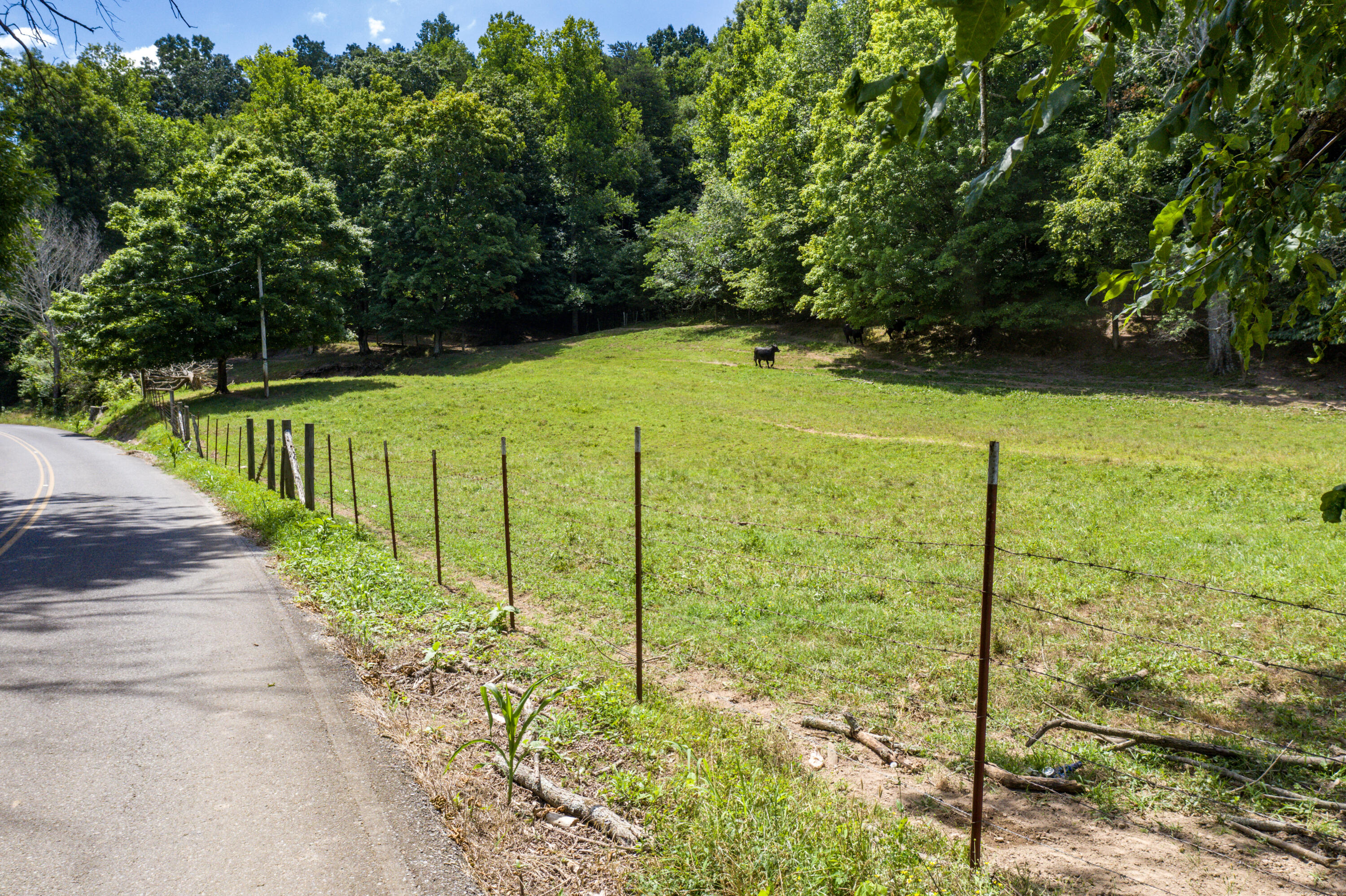 1636 White Oak Road Northwest Cleveland, TN 37312 - Photo 14 of 50 14-DJI_0148