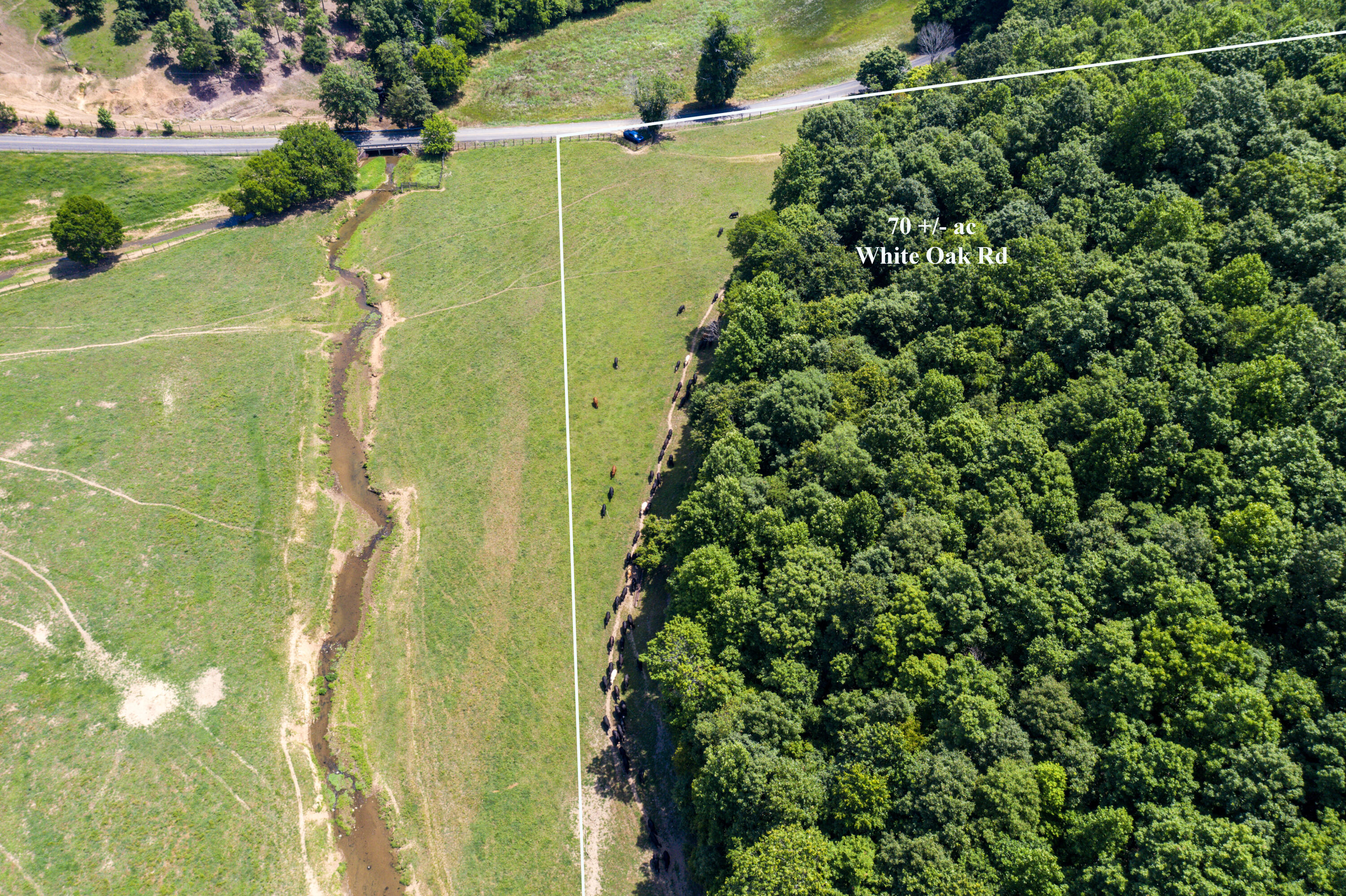 1636 White Oak Road Northwest Cleveland, TN 37312 - Photo 19 of 50 19-DJI_0145-Edit