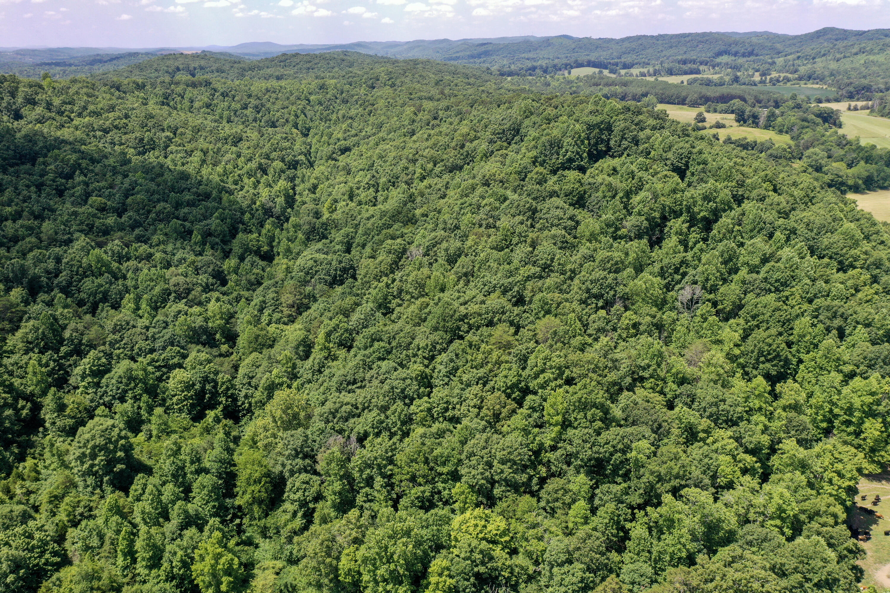 1636 White Oak Road Northwest Cleveland, TN 37312 - Photo 21 of 50 21-DJI_0132