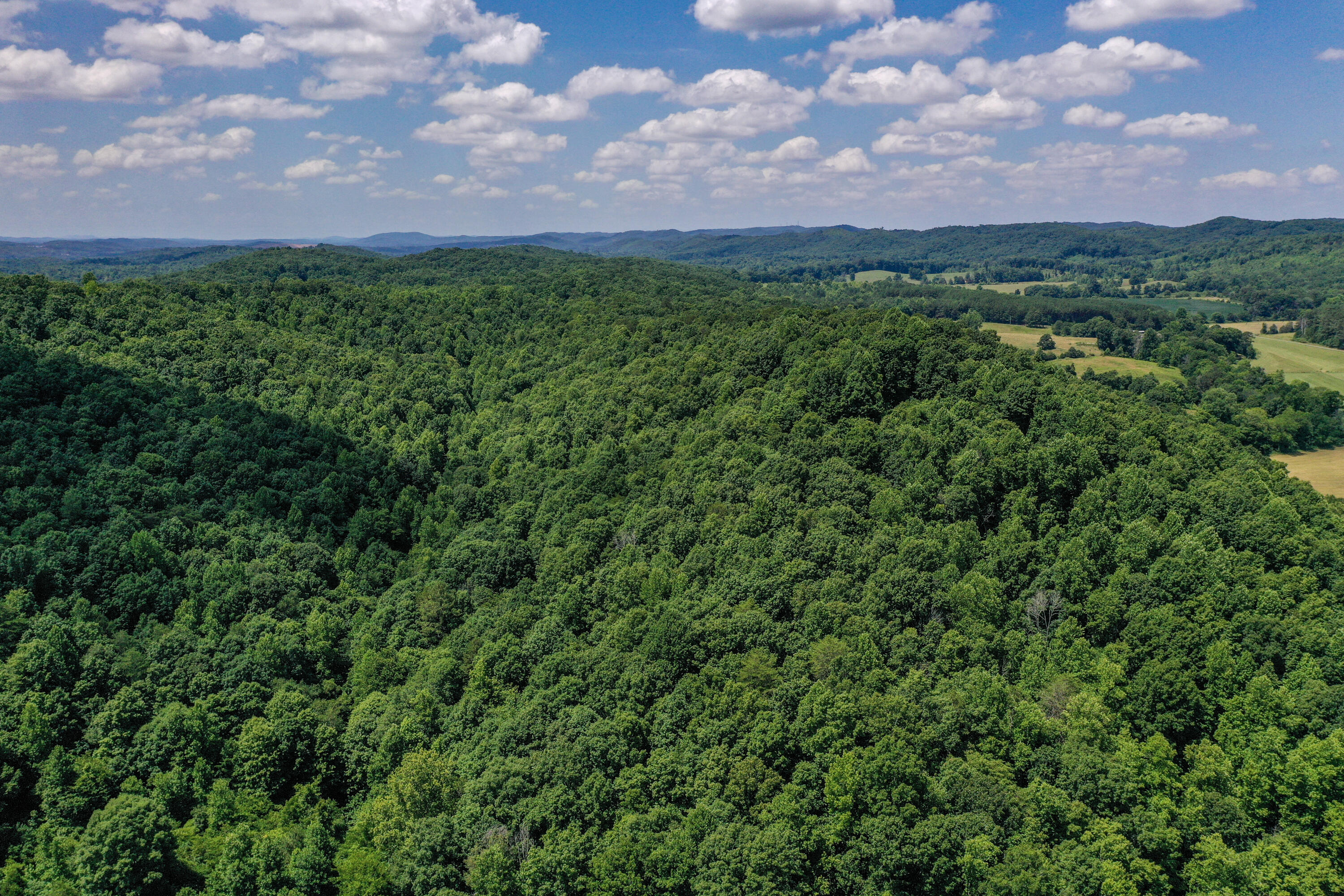 1636 White Oak Road Northwest Cleveland, TN 37312 - Photo 22 of 50 22-DJI_0133