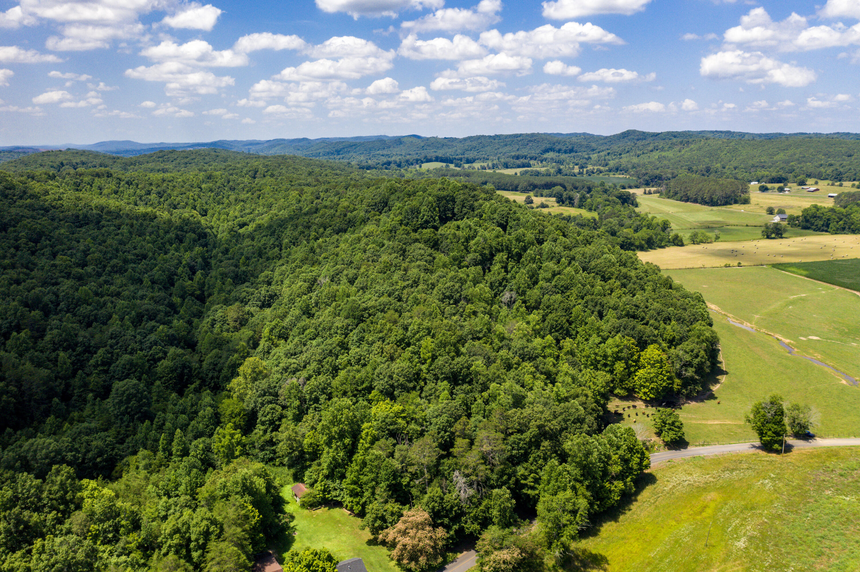 1636 White Oak Road Northwest Cleveland, TN 37312 - Photo 23 of 50 23-DJI_0134