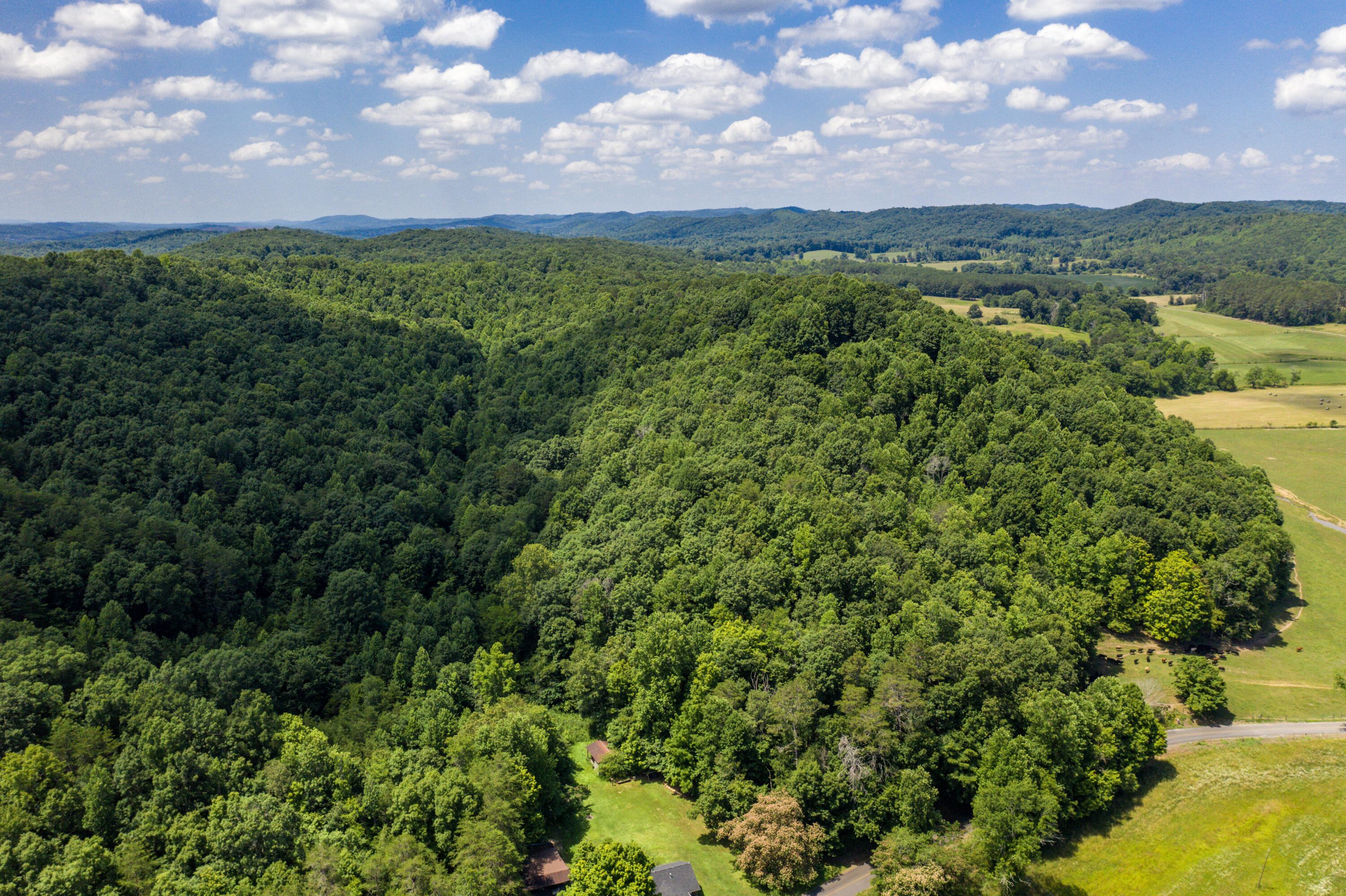 1636 White Oak Road Northwest Cleveland, TN 37312 - Photo 24 of 50 24-DJI_0135