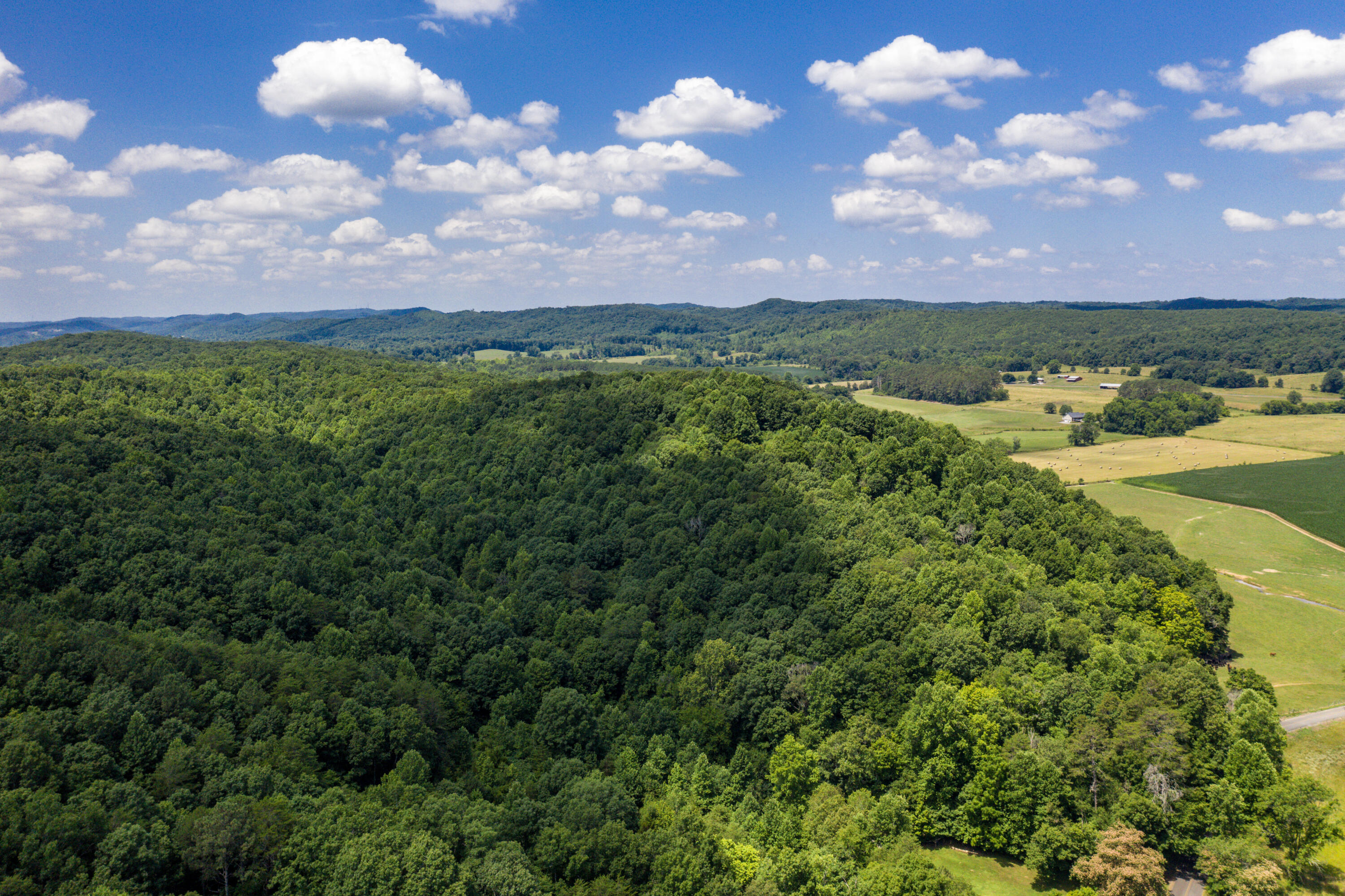 1636 White Oak Road Northwest Cleveland, TN 37312 - Photo 25 of 50 25-DJI_0136
