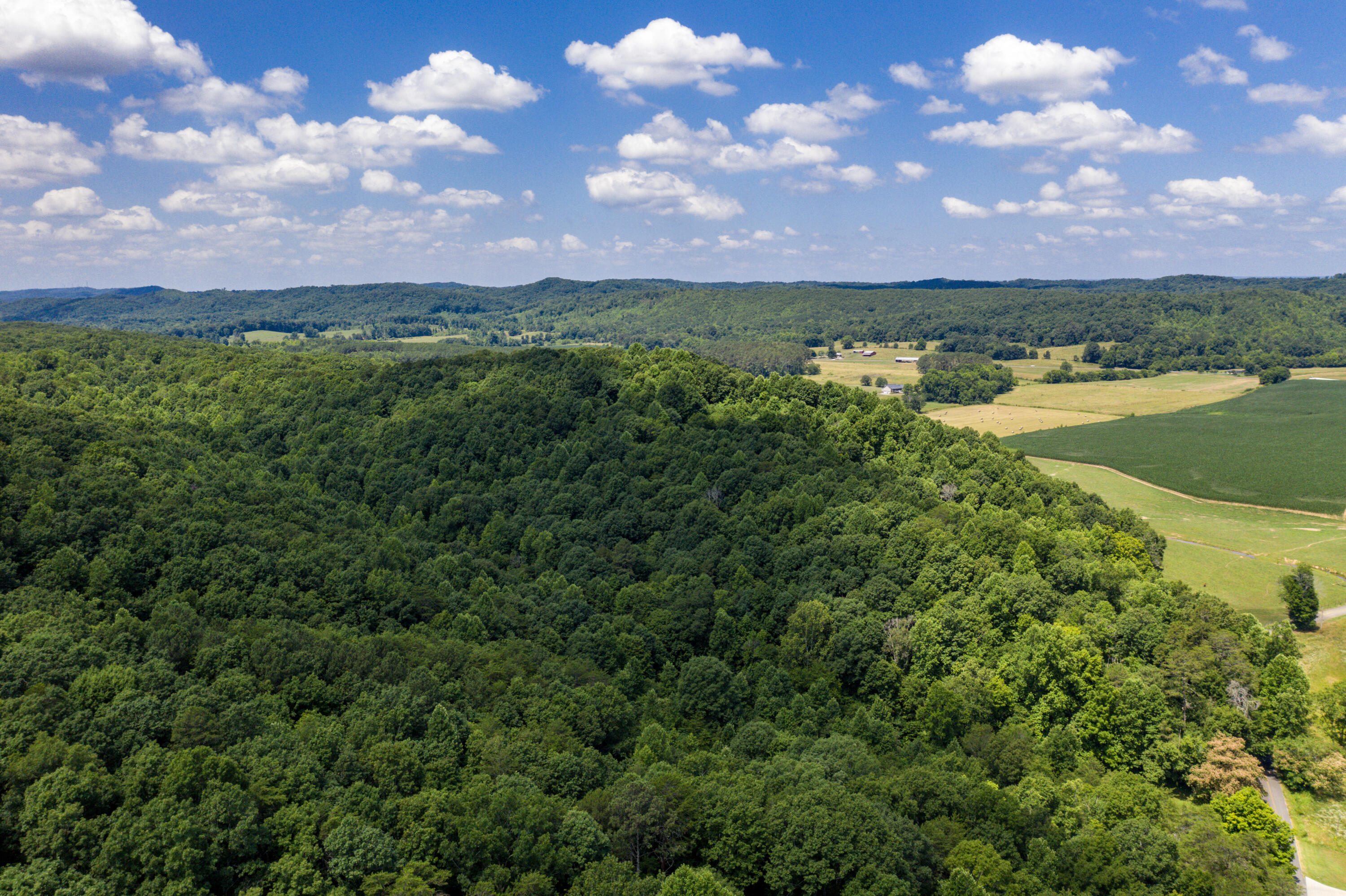 1636 White Oak Road Northwest Cleveland, TN 37312 - Photo 26 of 50 26-DJI_0137