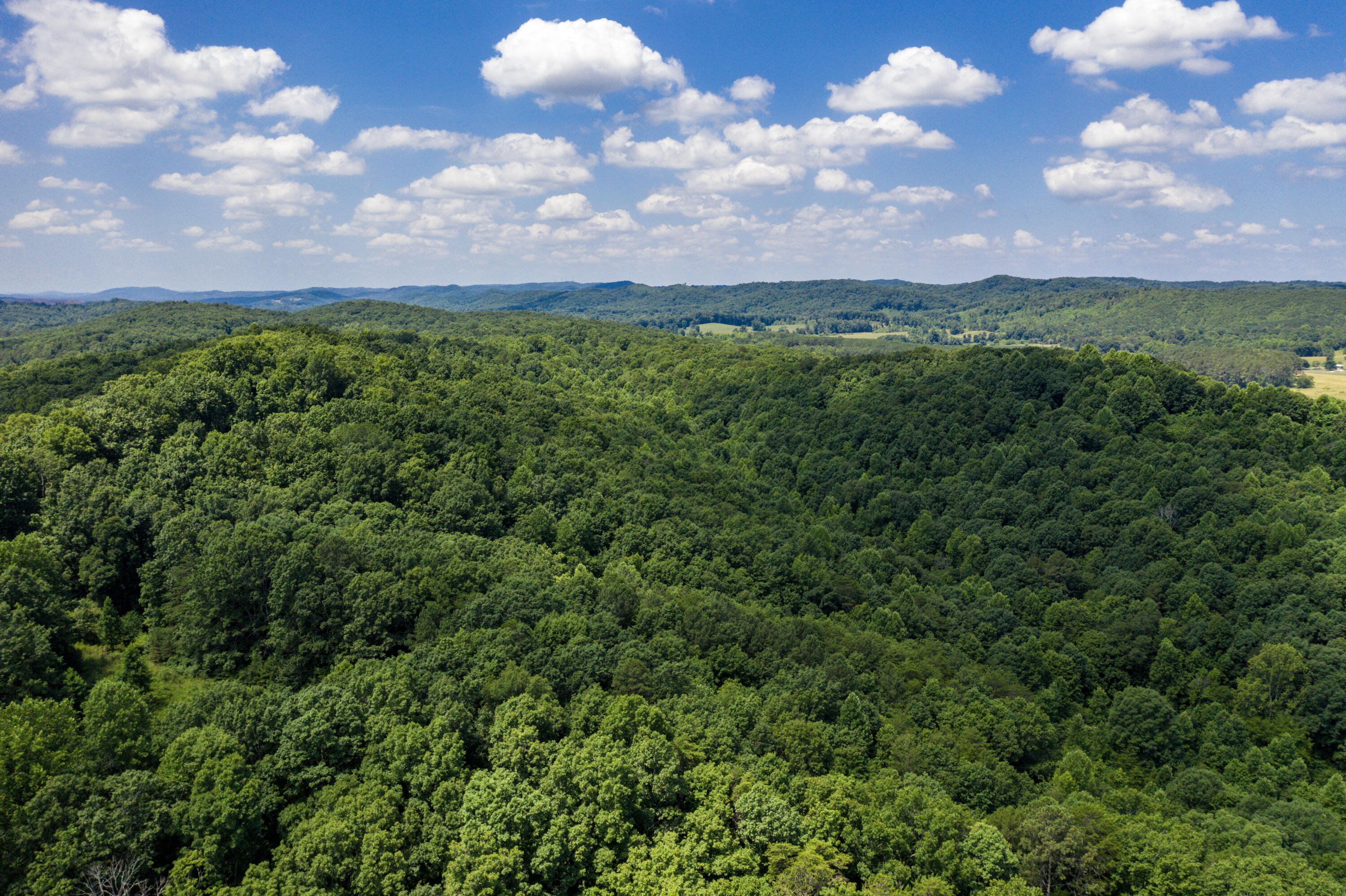 1636 White Oak Road Northwest Cleveland, TN 37312 - Photo 27 of 50 27-DJI_0138
