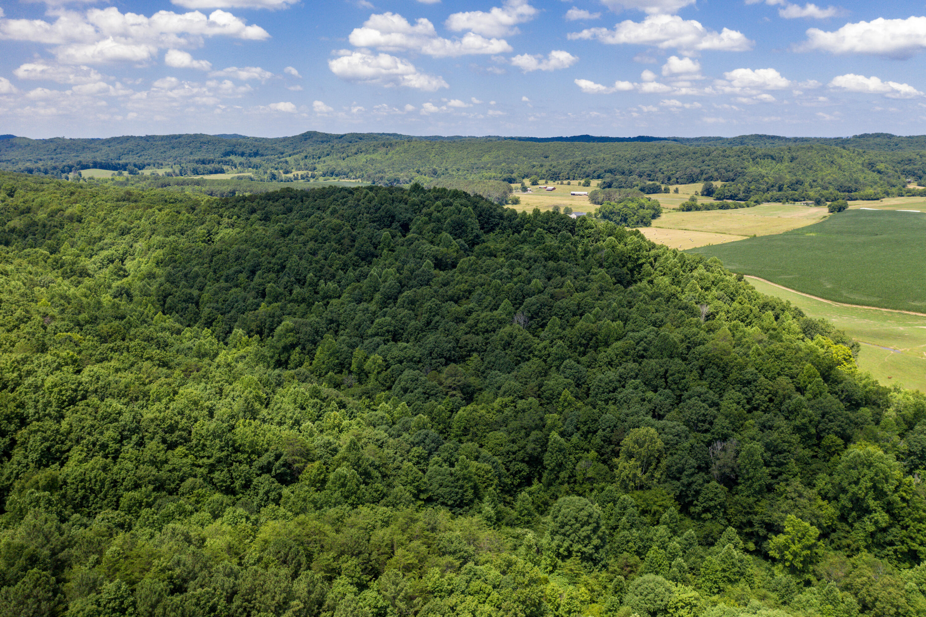 1636 White Oak Road Northwest Cleveland, TN 37312 - Photo 28 of 50 28-DJI_0139