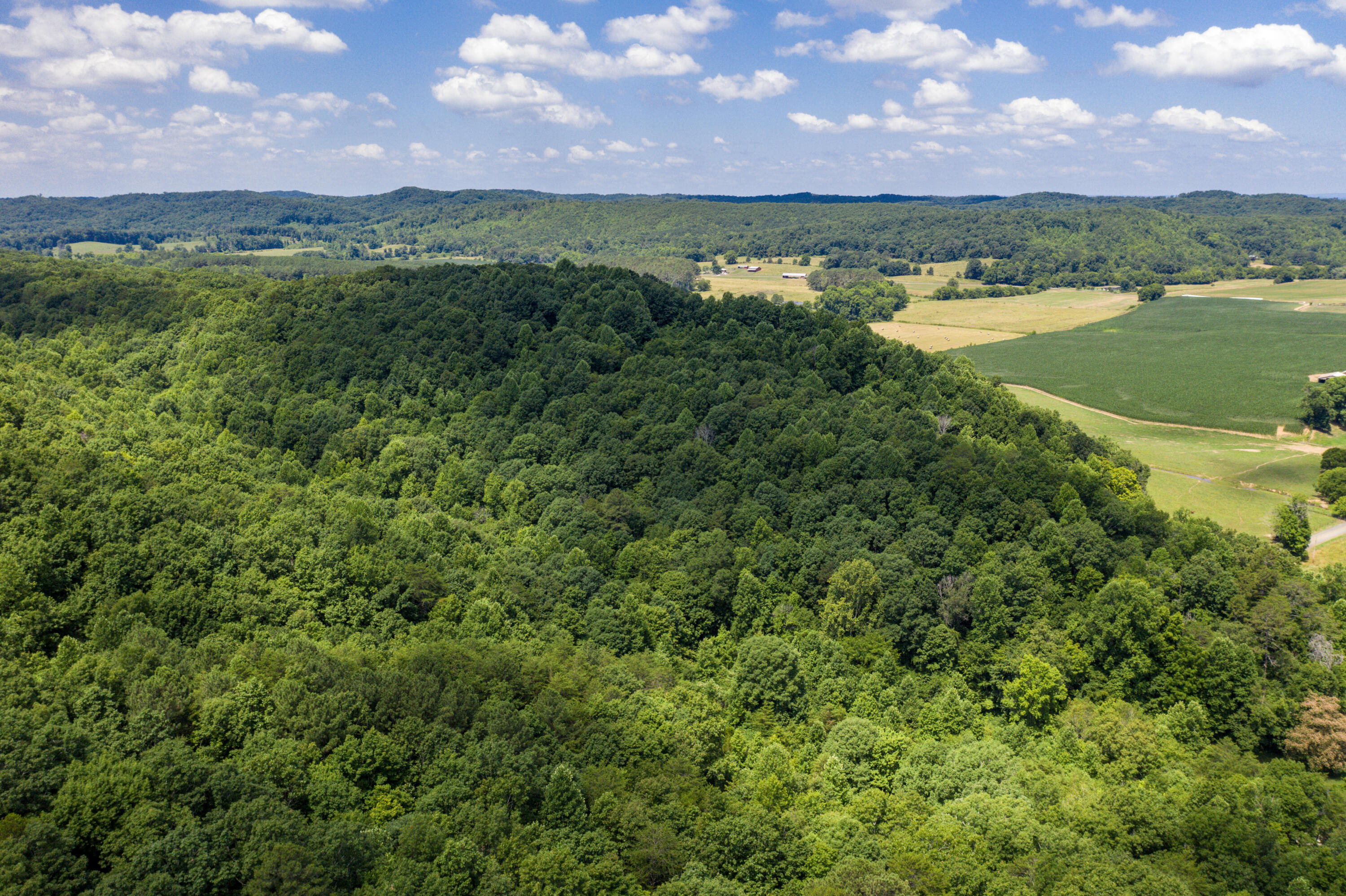 1636 White Oak Road Northwest Cleveland, TN 37312 - Photo 29 of 50 29-DJI_0140