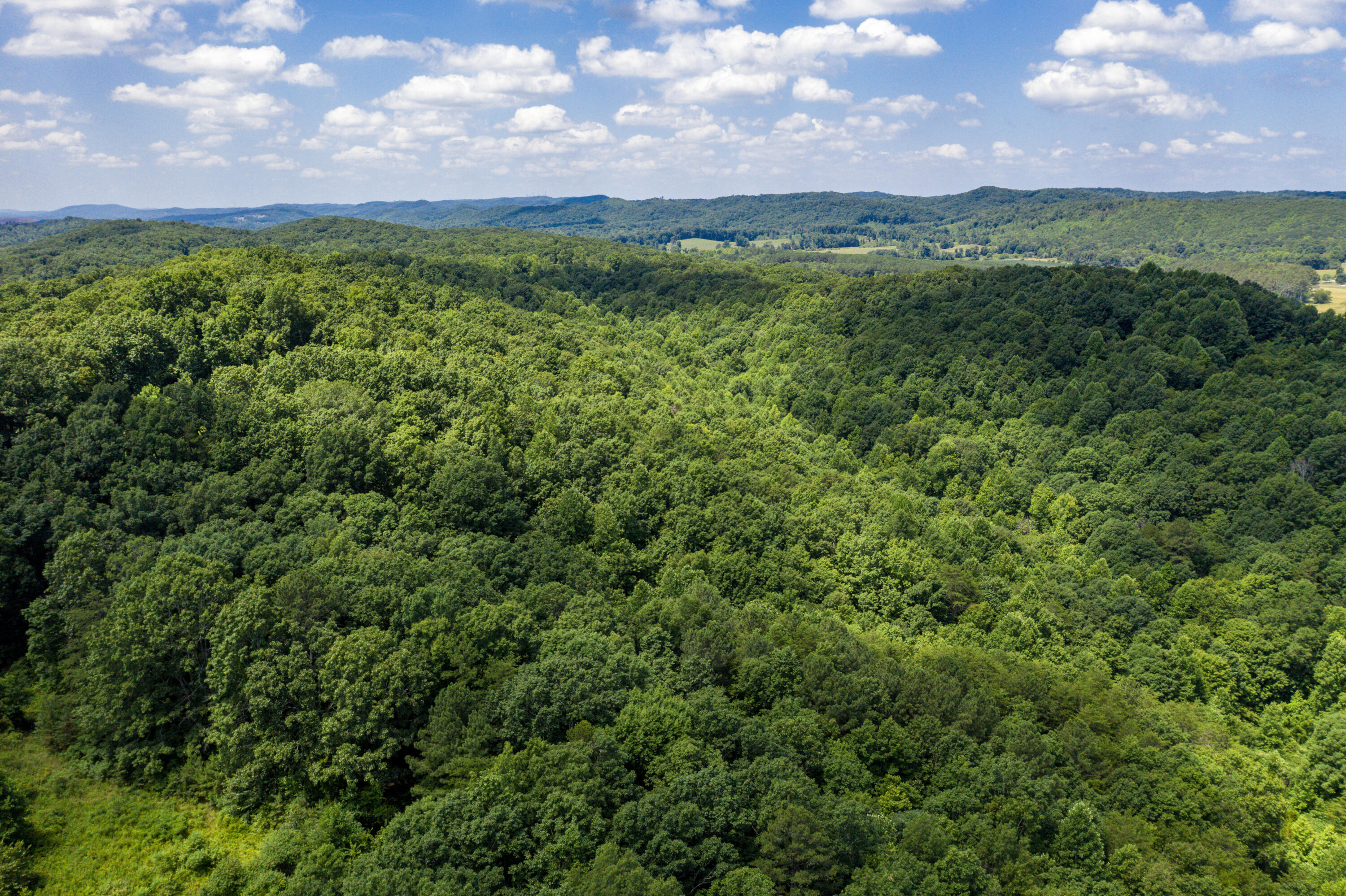 1636 White Oak Road Northwest Cleveland, TN 37312 - Photo 30 of 50 30-DJI_0141