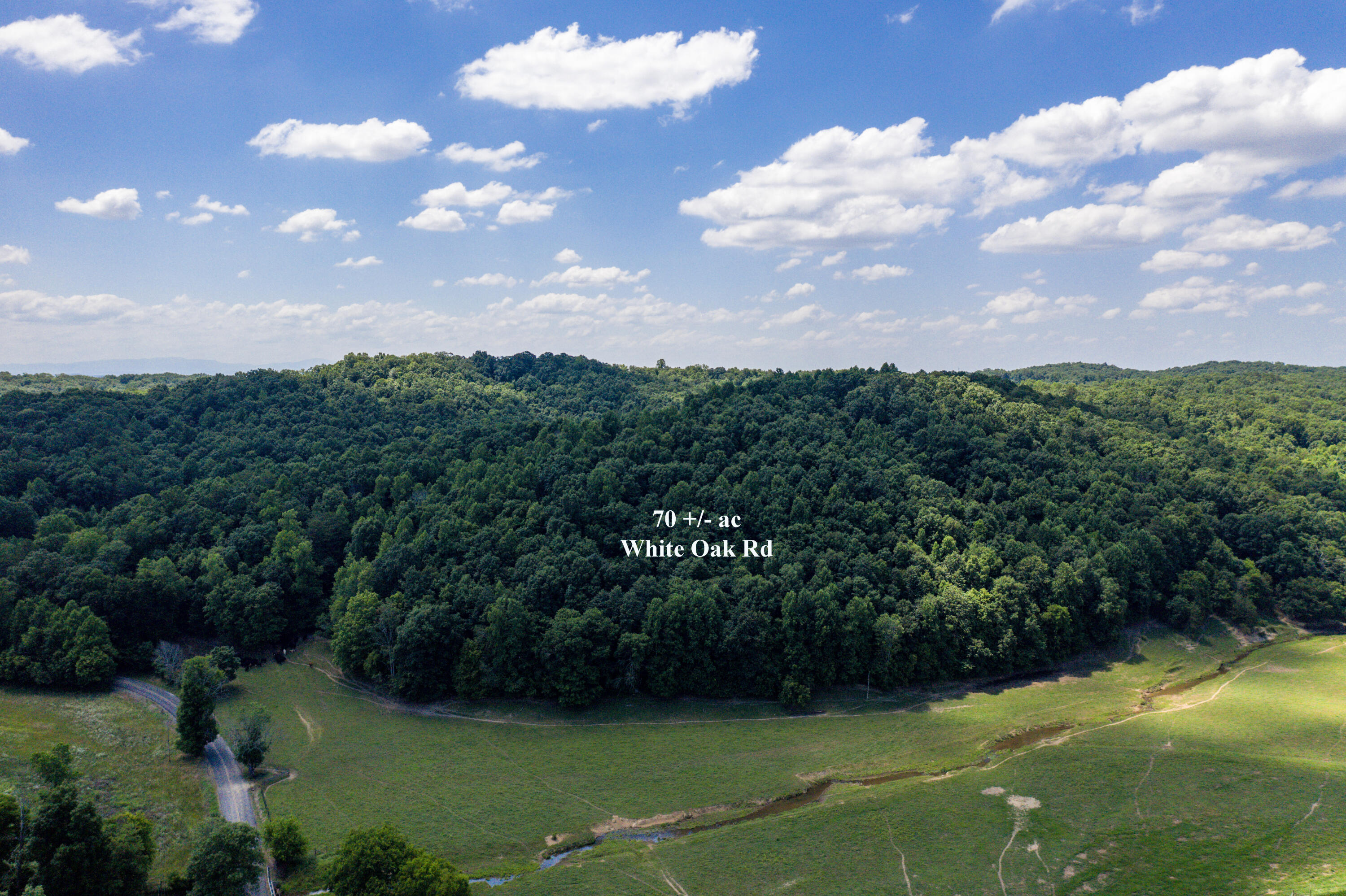 1636 White Oak Road Northwest Cleveland, TN 37312 - Photo 3 of 50 3-DJI_0129-Edit
