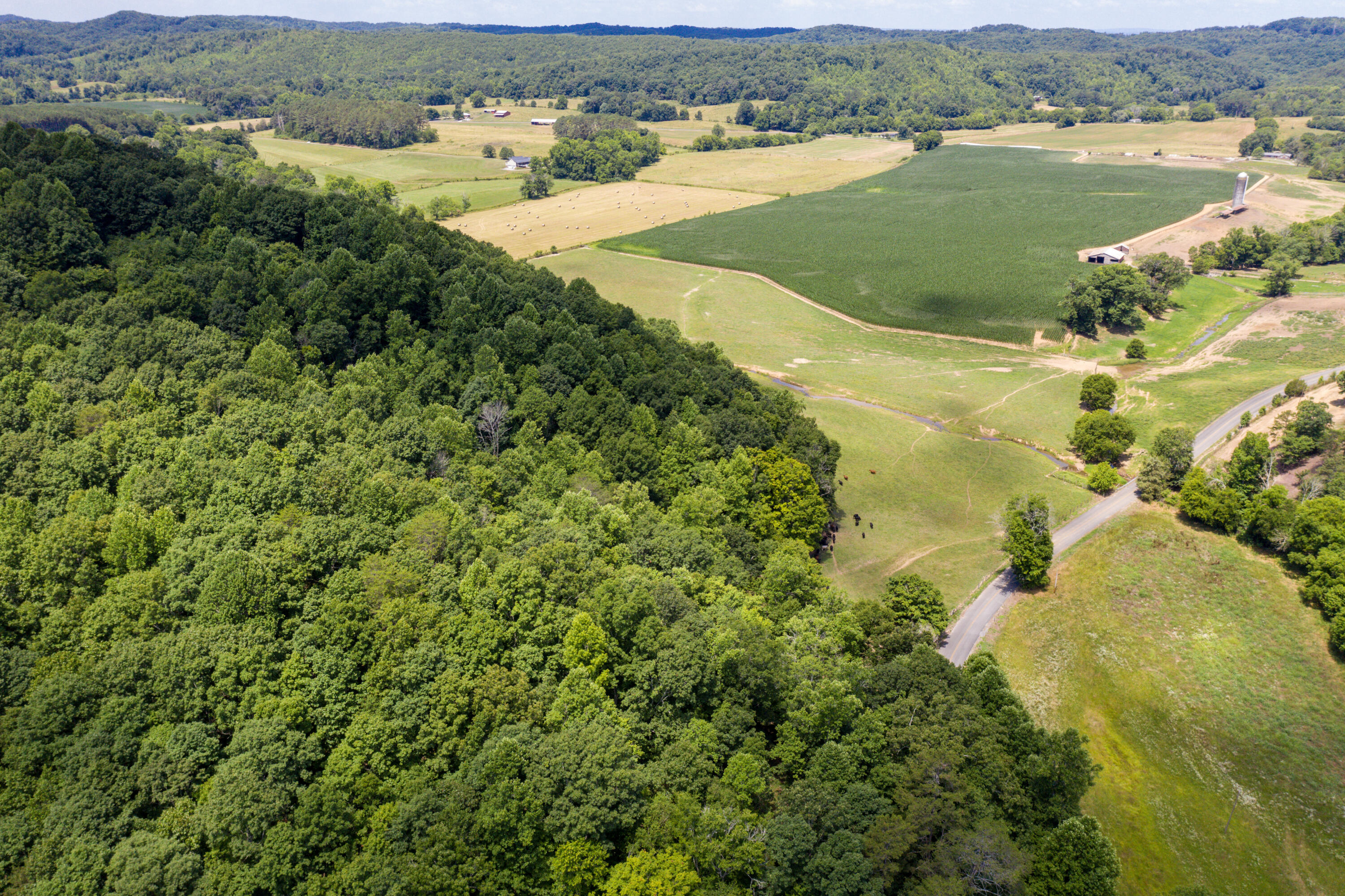 1636 White Oak Road Northwest Cleveland, TN 37312 - Photo 31 of 50 31-DJI_0142